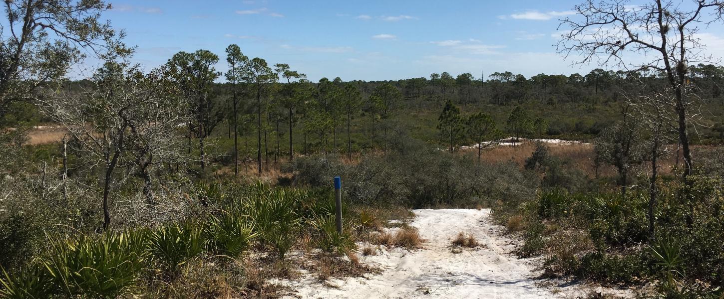Hiking and Equestrian Trails at Catfish Creek Florida State Parks